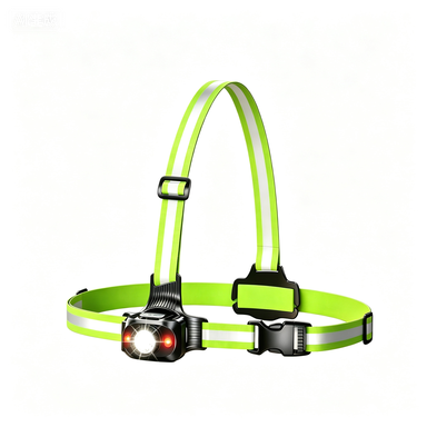 Dog Walking Lights