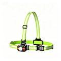 Dog Walking Lights
