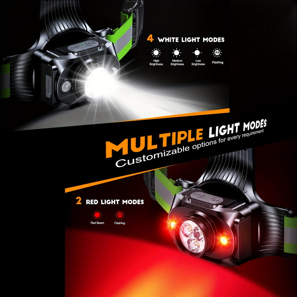 Dog Walking Lights